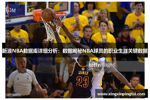 新浪NBA数据库详细分析：数据揭秘NBA球员的职业生涯关键数据