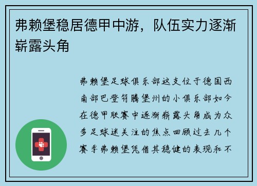 弗赖堡稳居德甲中游，队伍实力逐渐崭露头角