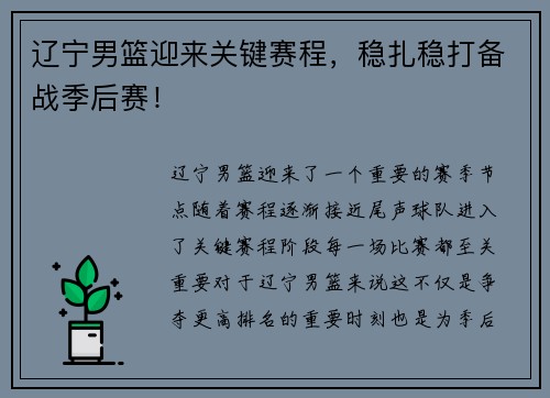 辽宁男篮迎来关键赛程，稳扎稳打备战季后赛！