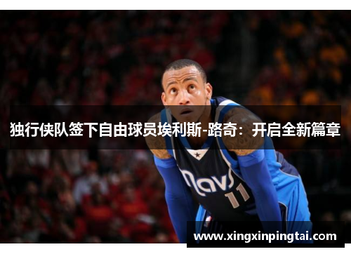 独行侠队签下自由球员埃利斯-路奇：开启全新篇章